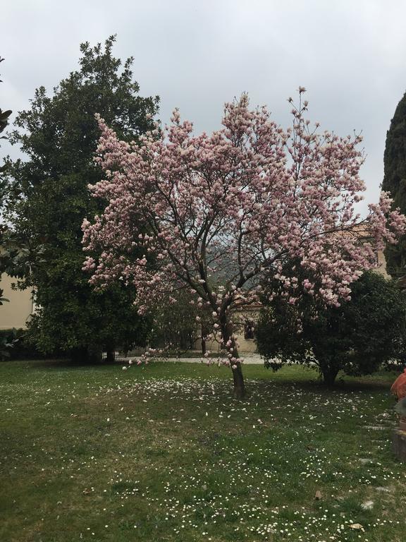Agriturismo Villa Panigai Farra di Soligo Exteriör bild